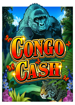 เทคนิคเด็ดในการเล่นสล็อต ซัน ด้า เพิ่มโอกาสชนะ